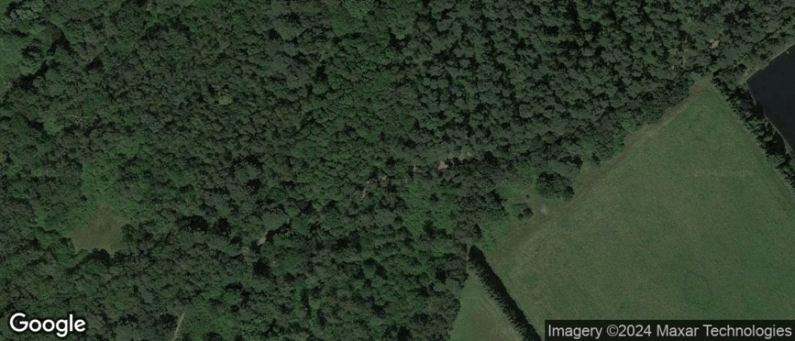 Tilford Common in Farnham