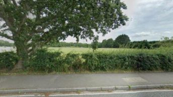 Titchfield Common in Fareham