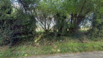 Tonge in Sittingbourne