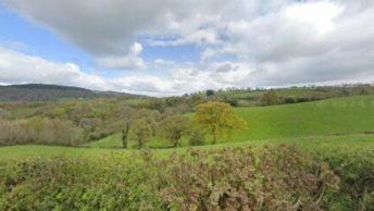 Trusham in Newton Abbot