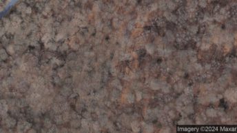 Waltham Forest in Waltham Forest