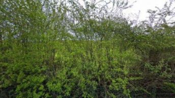 Wennington in Lancaster