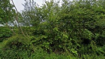 Wethersfield in Braintree