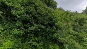Whitewell in Clitheroe