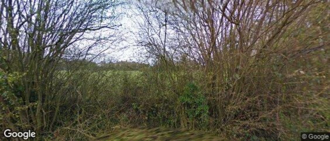 Wickham St. Paul in Halstead