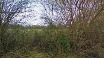 Wickham St. Paul in Halstead