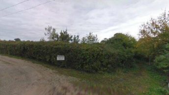 Wimbish in Saffron Walden