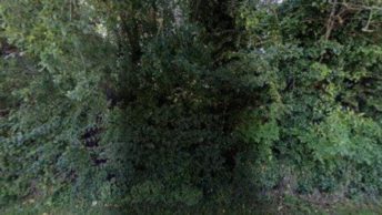 Winklebury in Basingstoke