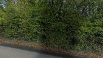 Woodbury in Exeter