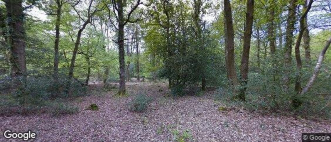 Woodgreen in Fordingbridge