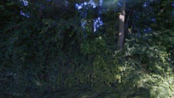 Wyddial in Buntingford