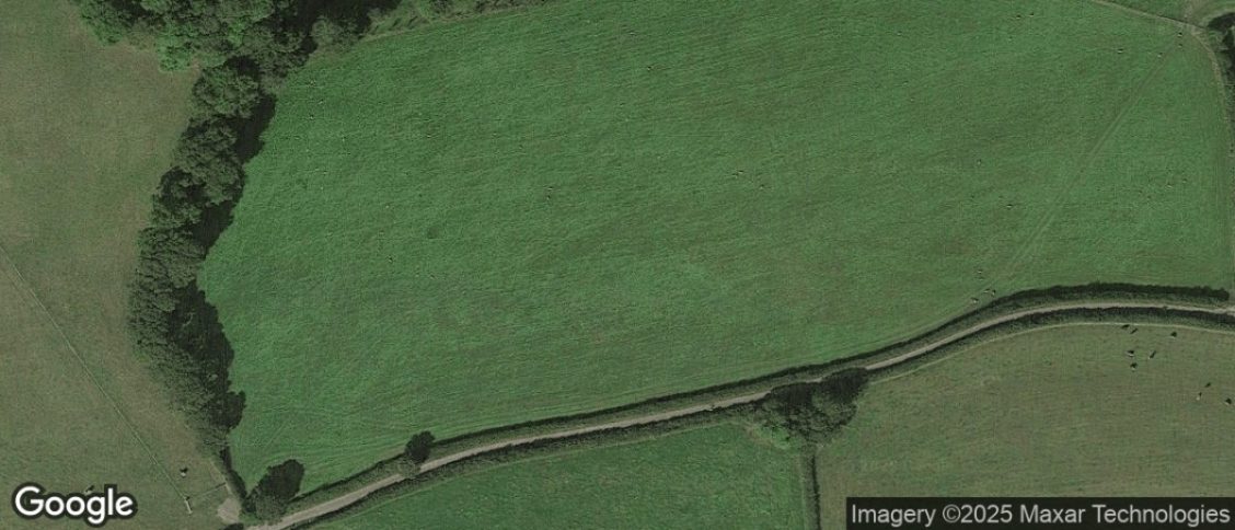 Zeal Monachorum in Crediton